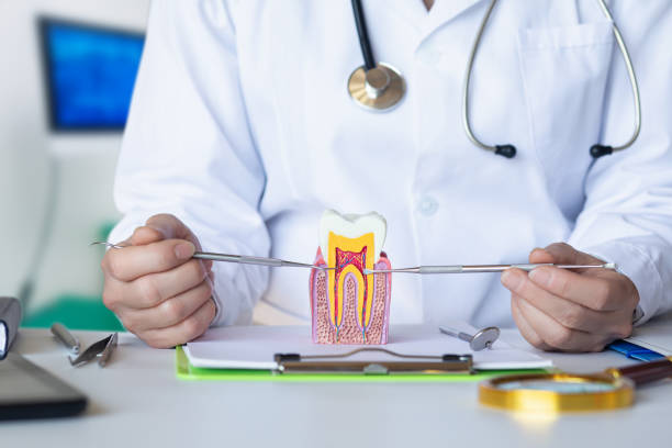 Best Knocked-Out Tooth (Avulsed Tooth) Treatment in West Chester, PA